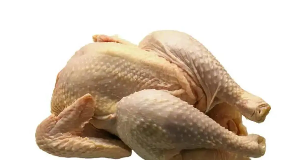 Poulets contaminés : L'alerte rouge qui doit secouer nos assiettes !
