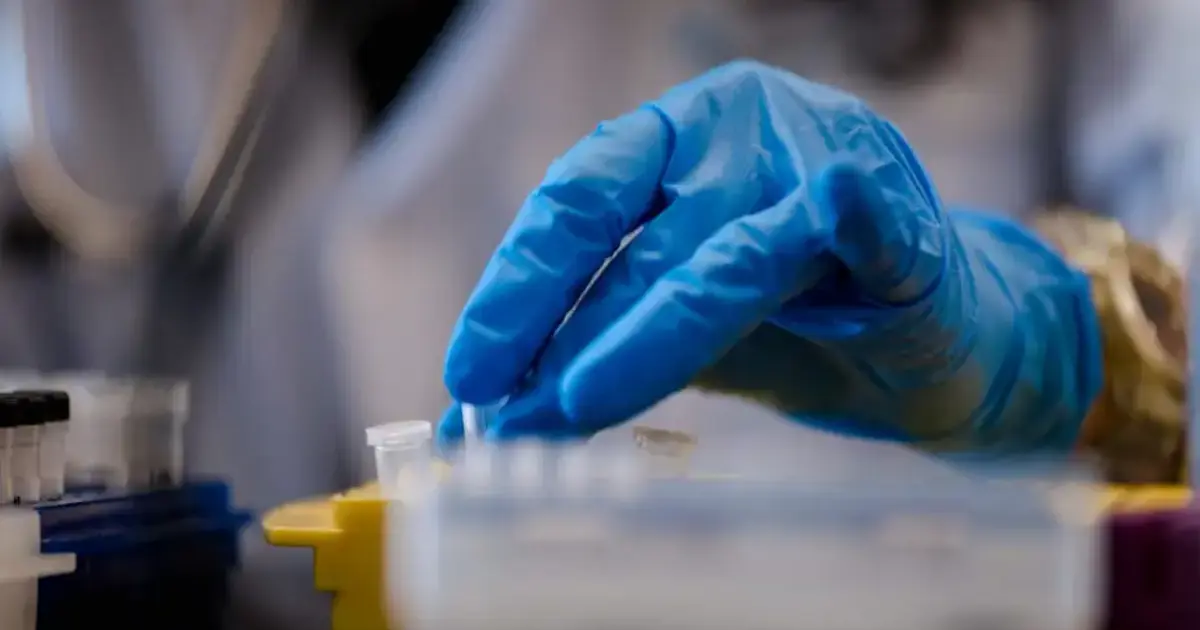 🧪 SCIENCE | Découverte à Montréal : des molécules antivirales très prometteuses identifiées