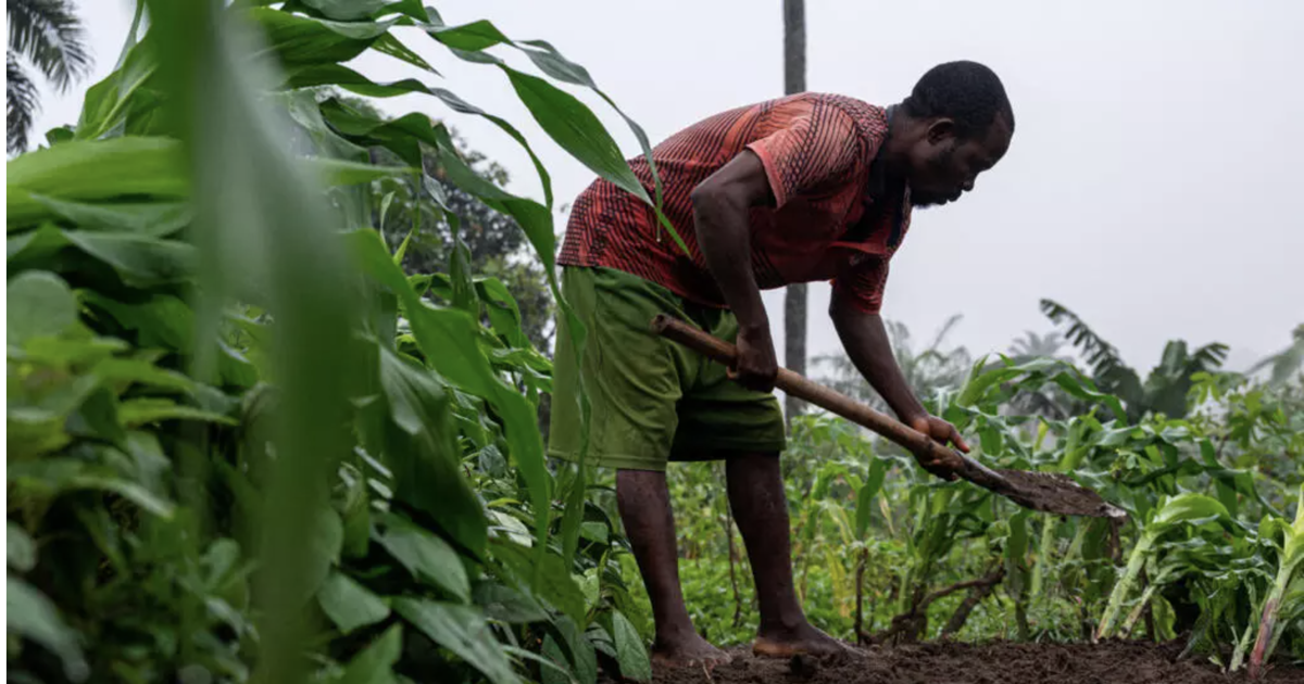 La RDC, plus grande réserve de terres arables du continent africain