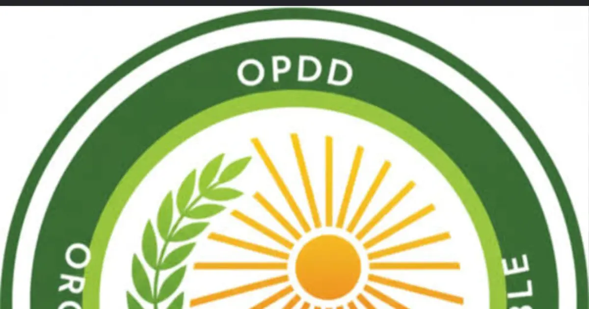 L'Éveil des Terres Congolaises : L'Organisation Paysanne pour le Développement Durable (OPDD ASBL), Artisan de l'Émergence Socio-Économique