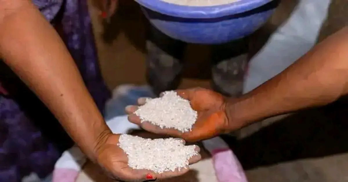 Souveraineté Alimentaire : La RDC lance le projet « Riz Bumba, Loso na Biso »