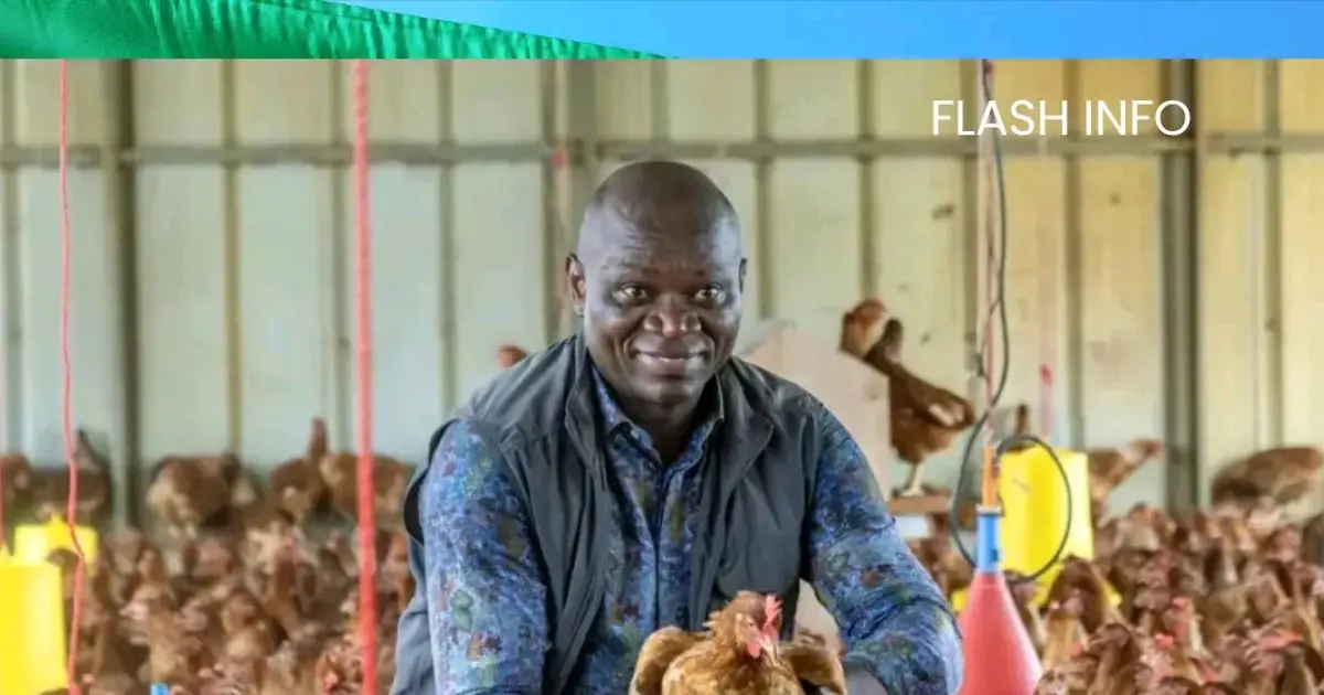 🇬🇦🇺🇸 Poulet de chair : Washington saisit l’OMC, le Gabon défend sa souveraineté alimentaire