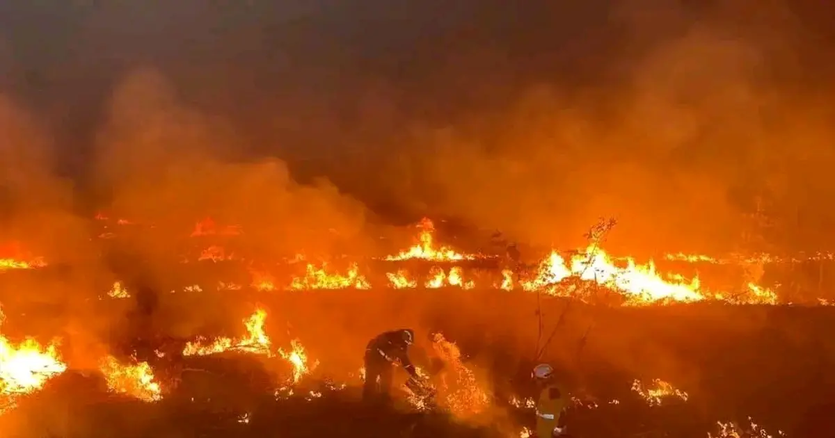 🔴🇫🇷 France : des incendies géants ravagent le sud-ouest, plus de 44 000 personnes évacuées